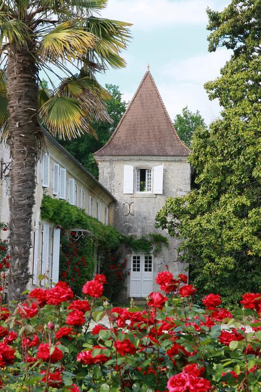 Chateau De Puyrigaud Léoville Exterior photo